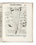  Fabri Ottavio : L'uso della squadra mobile... Scienze tecniche e matematiche, Strumenti scientifici, Geometria, Ingegneria, Scienze tecniche e matematiche, Scienze tecniche e matematiche, Scienze tecniche e matematiche  - Auction Books, Autographs and Manuscripts - Libreria Antiquaria Gonnelli - Casa d'Aste - Gonnelli Casa d'Aste