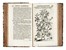  Hermann Paul : Horti academici Lugduno-Batavi catalogus exhibens Plantarum omnium Nomina... Botanica, Figurato, Scienze naturali, Collezionismo e Bibliografia  - Auction Libri, Autografi e Manoscritti - Libreria Antiquaria Gonnelli - Casa d'Aste - Gonnelli Casa d'Aste