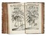  Hermann Paul : Horti academici Lugduno-Batavi catalogus exhibens Plantarum omnium Nomina... Botanica, Figurato, Scienze naturali, Collezionismo e Bibliografia  - Auction Libri, Autografi e Manoscritti - Libreria Antiquaria Gonnelli - Casa d'Aste - Gonnelli Casa d'Aste
