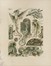  Anton Johann Nepomuk Seder  (Monaco di Baviera, 1850 - 1916) : Das Thier in der decorativen Kunst.  - Auction Arte Antica, Moderna e Contemporanea - Libreria Antiquaria Gonnelli - Casa d'Aste - Gonnelli Casa d'Aste