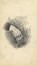  Angelo Torchi  (Massalombarda, 1856 - 1915) : Lotto composto di 48 disegni di vario genere.  - Auction Arte Antica, Moderna e Contemporanea - Libreria Antiquaria Gonnelli - Casa d'Aste - Gonnelli Casa d'Aste