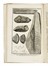  Scheuchzer Johann Jacob : Herbarium diluvianum... Botanica, Figurato  - Auction Books, Autographs and Manuscripts - Libreria Antiquaria Gonnelli - Casa d'Aste - Gonnelli Casa d'Aste