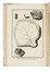  Scheuchzer Johann Jacob : Herbarium diluvianum... Botanica, Figurato  - Auction Books, Autographs and Manuscripts - Libreria Antiquaria Gonnelli - Casa d'Aste - Gonnelli Casa d'Aste