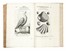  Mercati Michele : Metallotheca Opus Posthumum.  - Auction Books, Autographs and Manuscripts - Libreria Antiquaria Gonnelli - Casa d'Aste - Gonnelli Casa d'Aste