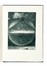  Handke Peter : Finch� il giorno non vi separi o una questione di luce.  Ivan Theimer  - Asta Libri, autografi e manoscritti - Libreria Antiquaria Gonnelli - Casa d'Aste - Gonnelli Casa d'Aste