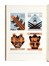  Depero Fortunato : Fortunato Depero nelle opere e nella vita. Futurismo, Monografie di artisti, Cataloghi di arte, Arte, Collezionismo e Bibliografia, Arte  - Auction Books, Autographs and Manuscripts - Libreria Antiquaria Gonnelli - Casa d'Aste - Gonnelli Casa d'Aste