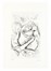 Zurlini Valerio : Gli anni delle immagini perdute. Introduzione di Vasco Pratolini...  Vasco Pratolini  (Firenze, 1913 - Roma, 1991), Renato Guttuso  (Bagheria, 1911 - Roma, 1987)  - Asta Libri, autografi e manoscritti - Libreria Antiquaria Gonnelli - Casa d'Aste - Gonnelli Casa d'Aste