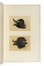  Charles Coleman  (Pontrefact,  - Roma, 1874) : A Series of subiects peculiar to the campagna of Rome and Pontine Marshes designed from nature and etched by C. Coleman.  - Auction Arte Antica, Moderna e Contemporanea - Libreria Antiquaria Gonnelli - Casa d'Aste - Gonnelli Casa d'Aste