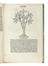 [Herbarius Latinus]. Incipit tractatus de virtutibus herbarum. Botanica  - Auction Books, Autographs and Manuscripts - Libreria Antiquaria Gonnelli - Casa d'Aste - Gonnelli Casa d'Aste