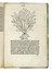 [Herbarius Latinus]. Incipit tractatus de virtutibus herbarum. Botanica  - Auction Books, Autographs and Manuscripts - Libreria Antiquaria Gonnelli - Casa d'Aste - Gonnelli Casa d'Aste