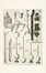 [Prodromo overo saggio di alcune unventioni nuove premesso all' arte maestra. Opera che prepara il P. Francesco Lana Bresciano della Compagnia di Giesu. Per mostrare li piu reconditi principii della Naturale Filosofia...].  - Auction Books, Autographs and Manuscripts - Libreria Antiquaria Gonnelli - Casa d'Aste - Gonnelli Casa d'Aste