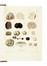  Vittadini Carlo : Monographia Tuberacearum... Micologia, Scienze naturali, Scienze naturali  - Auction Books, Autographs and Manuscripts - Libreria Antiquaria Gonnelli - Casa d'Aste - Gonnelli Casa d'Aste