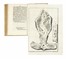  Pacchioni Antonio : De durae meningis fabrica & usu disquisitio anatomica... [CON:] Dissertatio epistolaris de glandulis conglobatis durae meningis human�, indeque ortis lymphaticis ad piam meningem productis... Medicina  Lucas Schr�ck  - Auction Books, Autographs and Manuscripts - Libreria Antiquaria Gonnelli - Casa d'Aste - Gonnelli Casa d'Aste