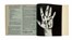  ?osi? Bora : Rok [...]. Broj 2 godina 1. Periodici e Riviste, Libro d'Artista, Arte, Collezionismo e Bibliografia, Collezionismo e Bibliografia  - Auction Books, Autographs and Manuscripts - Libreria Antiquaria Gonnelli - Casa d'Aste - Gonnelli Casa d'Aste