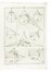  Saccheri Giovanni Girolamo, Ventimiglia Ruggero : Sphinx geometra seu Quaesita geometrica proposita et soluta...  - Asta Libri, autografi e manoscritti - Libreria Antiquaria Gonnelli - Casa d'Aste - Gonnelli Casa d'Aste