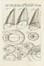  Tacquet Andr� : Cylindricorum et annularium libri IV item De circulorum volutione per planum dissertatio physiomath.ca. [CON:] Cylindricorum et annularium liber quintus addendus ad quatuor priores anno 1651 editos. Scienze tecniche e matematiche  - Auction Books, Autographs and Manuscripts - Libreria Antiquaria Gonnelli - Casa d'Aste - Gonnelli Casa d'Aste