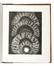 Alighieri Dante : La Divina Commedia nelle incisioni degli Artisti contemporanei. Dantesca, Libro d'Artista, Letteratura, Collezionismo e Bibliografia  Franco Mulas, Renzo Vespignani  (Roma, 1924 - 2001), Giacomo [pseud. di Manzoni Giacomo] Manz�  (Bergamo, 1908 - Roma, 1991), Lino Bianchi Barriviera  (Montebelluna, 1906 - Acilia, 1985), Pietro Annigoni  (Milano, 1910 - Firenze, 1988), Emilio Greco  (Catania, 1913 - Roma, 1995), Giorgio Petrocchi, Giovanni Fallani  - Auction Books, Autographs and Manuscripts - Libreria Antiquaria Gonnelli - Casa d'Aste - Gonnelli Casa d'Aste