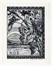  Jules Georges Hantz  (La Chaux-de-Fonds, 1846 - Ginevra, 1920) : Ex Libris Georges Hantz.  - Asta Arte Antica, Moderna e Contemporanea [parte II] - Libreria Antiquaria Gonnelli - Casa d'Aste - Gonnelli Casa d'Aste