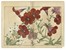  Tanigami Konan  (Prefettura di Hyogo, 1879 - 1928) : Cinque tavole da Seiyo Soka Zufu (fiori estivi).  - Asta Arte Antica, Moderna e Contemporanea [parte I] - Libreria Antiquaria Gonnelli - Casa d'Aste - Gonnelli Casa d'Aste
