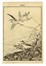  Maekawa Bunrei  (Kyoto, 1837 - 1917) : Sei tavole da Bunrei gafu  (Manuale di pittura di Bunrei).  - Asta Arte Antica, Moderna e Contemporanea [parte I] - Libreria Antiquaria Gonnelli - Casa d'Aste - Gonnelli Casa d'Aste