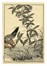  Maekawa Bunrei  (Kyoto, 1837 - 1917) : Sei tavole da Bunrei gafu  (Manuale di pittura di Bunrei).  - Asta Arte Antica, Moderna e Contemporanea [parte I] - Libreria Antiquaria Gonnelli - Casa d'Aste - Gonnelli Casa d'Aste