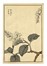  Maekawa Bunrei  (Kyoto, 1837 - 1917) : Sei tavole da Bunrei gafu  (Manuale di pittura di Bunrei).  - Asta Arte Antica, Moderna e Contemporanea [parte I] - Libreria Antiquaria Gonnelli - Casa d'Aste - Gonnelli Casa d'Aste