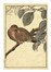  Maekawa Bunrei  (Kyoto, 1837 - 1917) : Sei tavole da Bunrei gafu  (Manuale di pittura di Bunrei).  - Asta Arte Antica, Moderna e Contemporanea [parte I] - Libreria Antiquaria Gonnelli - Casa d'Aste - Gonnelli Casa d'Aste