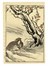  Maekawa Bunrei  (Kyoto, 1837 - 1917) : Sei tavole da Bunrei gafu  (Manuale di pittura di Bunrei).  - Asta Arte Antica, Moderna e Contemporanea [parte I] - Libreria Antiquaria Gonnelli - Casa d'Aste - Gonnelli Casa d'Aste