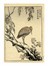  Maekawa Bunrei  (Kyoto, 1837 - 1917) : Sei tavole da Bunrei gafu  (Manuale di pittura di Bunrei).  - Asta Arte Antica, Moderna e Contemporanea [parte I] - Libreria Antiquaria Gonnelli - Casa d'Aste - Gonnelli Casa d'Aste