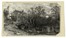  Friedrich August Elsasser  (Berlino, 1810 - Roma, 1845) : Lotto composto di 4 disegni a tema naturalistico.  - Asta Arte Antica, Moderna e Contemporanea [parte II] - Libreria Antiquaria Gonnelli - Casa d'Aste - Gonnelli Casa d'Aste