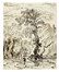  Friedrich August Elsasser  (Berlino, 1810 - Roma, 1845) : Lotto composto di 4 disegni a tema naturalistico.  - Asta Arte Antica, Moderna e Contemporanea [parte II] - Libreria Antiquaria Gonnelli - Casa d'Aste - Gonnelli Casa d'Aste