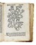 [Herbolario volgare...].  - Asta Libri, Autografi e Manoscritti - Libreria Antiquaria Gonnelli - Casa d'Aste - Gonnelli Casa d'Aste