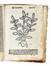 [Herbolario volgare...].  - Asta Libri, Autografi e Manoscritti - Libreria Antiquaria Gonnelli - Casa d'Aste - Gonnelli Casa d'Aste