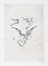  F�licien Rops  (Namur, 1833 - Essonnes, 1898) : Lotto composto di 4 incisioni.  - Asta Arte Antica, Moderna e Contemporanea [parte II] - Libreria Antiquaria Gonnelli - Casa d'Aste - Gonnelli Casa d'Aste