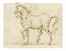  Scuola italiana del XVII secolo : Studio per cavallo al trotto.  - Asta Arte Antica, Moderna e Contemporanea [parte I] - Libreria Antiquaria Gonnelli - Casa d'Aste - Gonnelli Casa d'Aste
