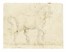  Scuola italiana del XVII secolo : Studio per cavallo al trotto.  - Asta Arte Antica, Moderna e Contemporanea [parte I] - Libreria Antiquaria Gonnelli - Casa d'Aste - Gonnelli Casa d'Aste
