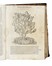 Mattioli Pietro Andrea : De i discorsi [...] Con le figure grandi... Botanica, Medicina  Pedanius Dioscorides  - Auction Libri, Autografi e Manoscritti - Libreria Antiquaria Gonnelli - Casa d'Aste - Gonnelli Casa d'Aste