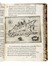  Zuallart Jean : Il devotissimo viaggio di Gerusalemme fatto, & descritto in sei libri... Geografia e viaggi  - Auction Libri, Autografi e Manoscritti - Libreria Antiquaria Gonnelli - Casa d'Aste - Gonnelli Casa d'Aste