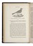  Savi Paolo : Ornitologia italiana: opera postuma.  - Asta Libri, Autografi e Manoscritti - Libreria Antiquaria Gonnelli - Casa d'Aste - Gonnelli Casa d'Aste