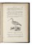  Savi Paolo : Ornitologia italiana: opera postuma.  - Asta Libri, Autografi e Manoscritti - Libreria Antiquaria Gonnelli - Casa d'Aste - Gonnelli Casa d'Aste