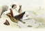  Autori vari : Lotto composto di 25 incisioni a tema animali e scene di caccia.  - Asta Arte Antica, Moderna e Contemporanea - Libreria Antiquaria Gonnelli - Casa d'Aste - Gonnelli Casa d'Aste