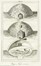  Autori vari : Lotto composto di 126 incisioni a tema storico, mitologico, cristiano ed antropologico.  - Asta Arte Antica, Moderna e Contemporanea - Libreria Antiquaria Gonnelli - Casa d'Aste - Gonnelli Casa d'Aste