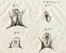 Dodici tavole da Memorie di Matematica e Fisica della Societ� Italiana [delle Scienze].  - Asta Arte Antica, Moderna e Contemporanea - Libreria Antiquaria Gonnelli - Casa d'Aste - Gonnelli Casa d'Aste