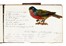  Autori vari : Lotto composto di 3 graziosi album illustrati.  - Asta Arte Antica, Moderna e Contemporanea - Libreria Antiquaria Gonnelli - Casa d'Aste - Gonnelli Casa d'Aste