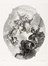  Iacopo Amigoni  (Napoli, 1682 - Madrid, 1752) [da] : Europa.  - Asta Arte Antica, Moderna e Contemporanea - Libreria Antiquaria Gonnelli - Casa d'Aste - Gonnelli Casa d'Aste