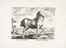  Jan Van der Straet (detto Stradano)  (Bruges, 1523 - Firenze, 1605) [da] : Quindici tavole da Equile, in quo omnis generis generosissimorum equorum ex variis orbis partibus insignis delectus.  - Asta Arte Antica, Moderna e Contemporanea - Libreria Antiquaria Gonnelli - Casa d'Aste - Gonnelli Casa d'Aste