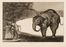  Francisco Goya y Lucientes  (Fuendetodos,, 1746 - Bordeaux,, 1828) : I quattro Proverbios de «L'Art».  - Asta STAMPE E DISEGNI DAL XVI AL XX SECOLO - Libreria Antiquaria Gonnelli - Casa d'Aste - Gonnelli Casa d'Aste