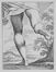  Ludovico Mattioli  (Crevalcore, 1662 - Bologna, 1747) : Studio di Pittura ad uso de? Licei.  - Asta Stampe e Disegni - Libreria Antiquaria Gonnelli - Casa d'Aste - Gonnelli Casa d'Aste