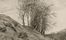  Verlaine Paul : Sonnets et Eaux-fortes. Libro d'Artista, Letteratura francese, Collezionismo e Bibiografia, Letteratura  Thophile Gautier, Jean-Baptiste-Camille Corot  (Parigi, 1796 - Ville d'Avray, 1875), Edouard Manet  (Parigi, 1832 - 1883), Flix Bracquemond  (Parigi, 1833 - 1914), Gustave Dor  (Strasbourg, 1832 - Paris, 1883), Thodore (de) Banville  - Auction BOOKS, MANUSCRIPTS AND AUTOGRAPHS - Libreria Antiquaria Gonnelli - Casa d'Aste - Gonnelli Casa d'Aste