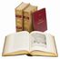  Quatremere de Quincy Antoine Chrysostôme : Istoria della vita e delle opere di Raffaello Sanzio [...] voltata in italiano...  Eugène Muntz  - Asta Libri, Manoscritti e Autografi - Libreria Antiquaria Gonnelli - Casa d'Aste - Gonnelli Casa d'Aste